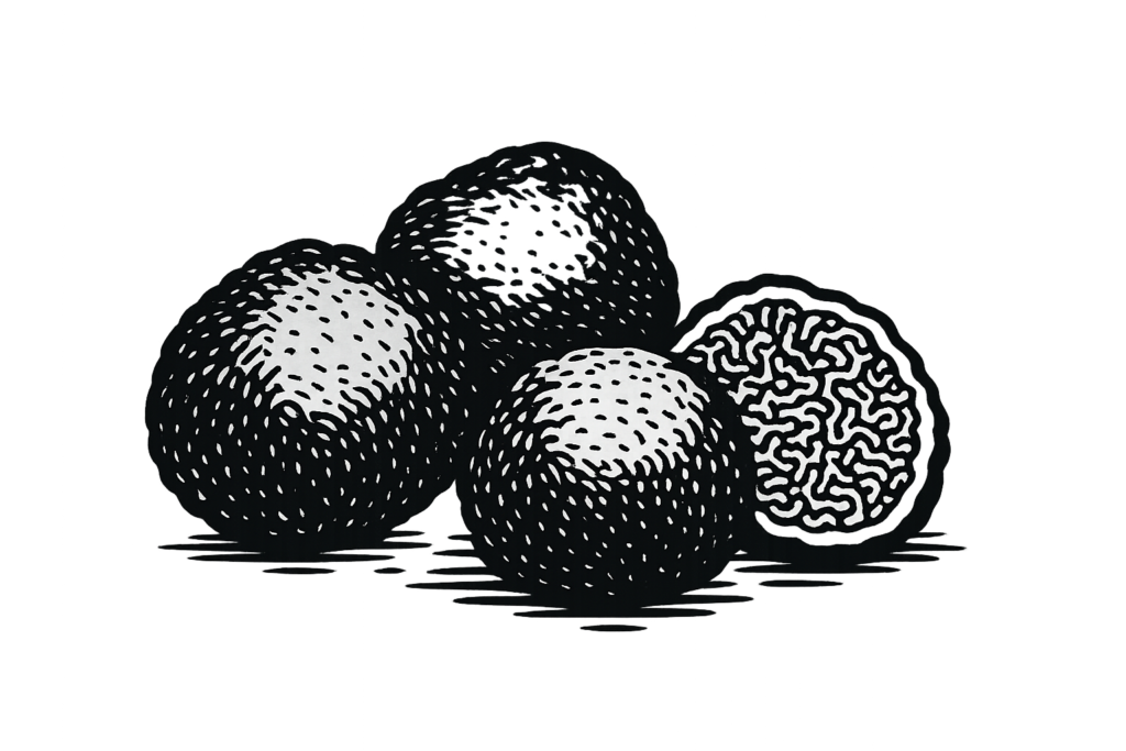 Illustration of four whole black truffles with a natural texture, on a transparent background